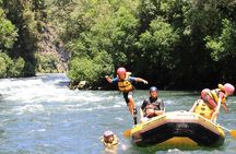 Rangitaiki River White Water Scenic Rafting from Rotorua