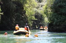 Rangitaiki River White Water Scenic Rafting from Rotorua