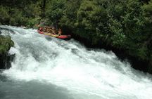 Rangitaiki River White Water Rafting from Rotorua