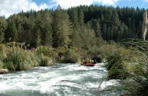 Rangitaiki River White Water Rafting from Rotorua