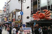 Osaka Castle & Dotonbori Lively One-Day Walking Tour
