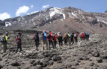 6 Days 5 Night Machame Climbing Route 