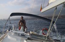 Tenerife 3-Hour Discover Whales and Dolphins