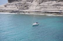 Tenerife 3-Hour Discover Whales and Dolphins