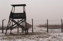 From Krakow: Auschwitz-Birkenau Tour with Transport 