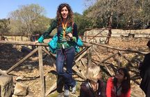 Tour in the ruins of Cuma with an archaeologist.