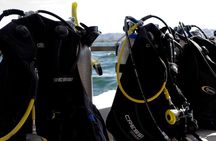 Two Tanks Scuba Diving Tour at Catalina Islands & North Island - CR
