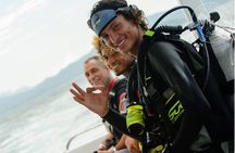 Two Tanks Scuba Diving Tour at Catalina Islands & North Island - CR