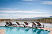 2 Day Wild Heart Western Cape Safari Tour with Private Transfers 