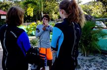 Scuba Diving for Non-Certified Divers at Catalina Islands & North Island - CR