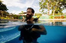 Scuba Diving for Non-Certified Divers at Catalina Islands & North Island - CR