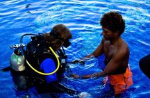 Scuba Diving for Non-Certified Divers at Catalina Islands & North Island - CR