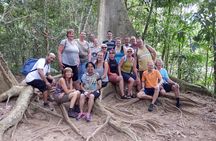 Taman Negara National Park Day Tour with Professional Local Guide