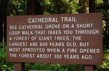 Waterfalls, Coombs and Cathedral Grove Rainforest Tour