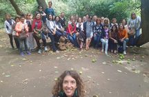 Guided tour of the Royal Palace of Caserta with an art expert