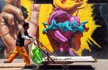 Mexico City Private Street Art Tour 