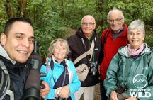 Monteverde Cloud Forest Reserve Morning Walk -Monteverde Wild-