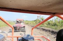 2 Person Buggy Tour