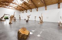 Mexico City Private Gallery Tour