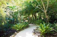 Queen Elizabeth II Botanic Park and Pedro St James Castle Tour in Grand Cayman
