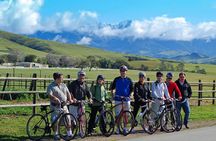 Wine Country E-Bike Guided Tour - w/o Lunch