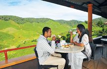 2-Day Cameron Highlands from Kuala Lumpur (Return to KUL)