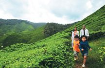 2-Day Cameron Highlands from Kuala Lumpur (Return to KUL)