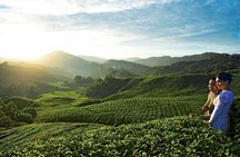 2-Day Cameron Highlands from Kuala Lumpur (Return to KUL)