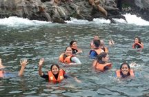 Adventure and adrenaline, swimming with SEA LIONS! & visit the Peruvian islands!