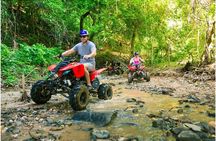 Roatan Jungle ATV Buggy Tour with Sloths & Historical Beach Stop