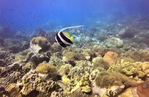 PADI Discover Scuba Dive Experience