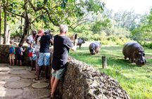 Wild Waters - Haller Park Day Excursion (minimum 2 Pax)