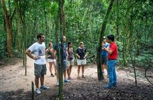 Private Tour to Explore Cu Chi Tunnels and Mekong Delta