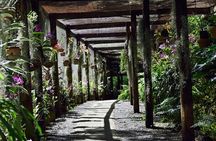 Wonders of Nadi Tour - Hindu Temple, Sleeping Giant Gardens, Markets & Shopping