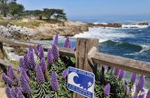 Full Day Tour from San Francisco