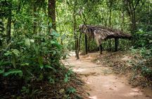 Cu Chi Tunnels and Mekong Delta 1 Day Tour With Small Group