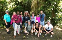 Rainforest Tours in St. Kitts