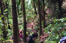 Mount Liamuiga Volcano Tours