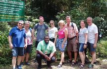 Dark View Falls and Beach Tour with Detention Tours 