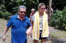 Dark View Falls and Beach Tour with Detention Tours 