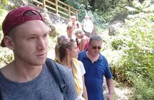 Dark View Falls and Beach Tour with Detention Tours 