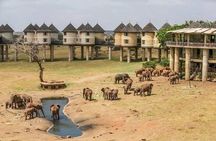 2 Days Taita Hills Saltlick Safari (Minimum 2 pax)