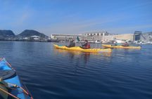 Ålesund Round Trip – A Great Kayak Adventure