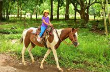 Horseback Riding and Waterfall in Jacó