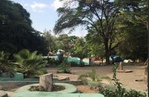 Day Trip To Sodere Natural Hot Springs