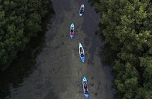 Bioluminescent Bay Kayak Adventure from San Juan
