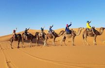 Sahara Desert Tours 4days start From Fes to Marrakesh .