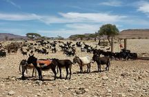 Sahara Desert Tours 4days start From Fes to Marrakesh .