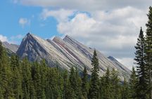Sunwapta Challenge Whitewater Rafting: Class III Rapids