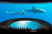 Skip the Line: Aquarium of the Pacific General Admission Ticket